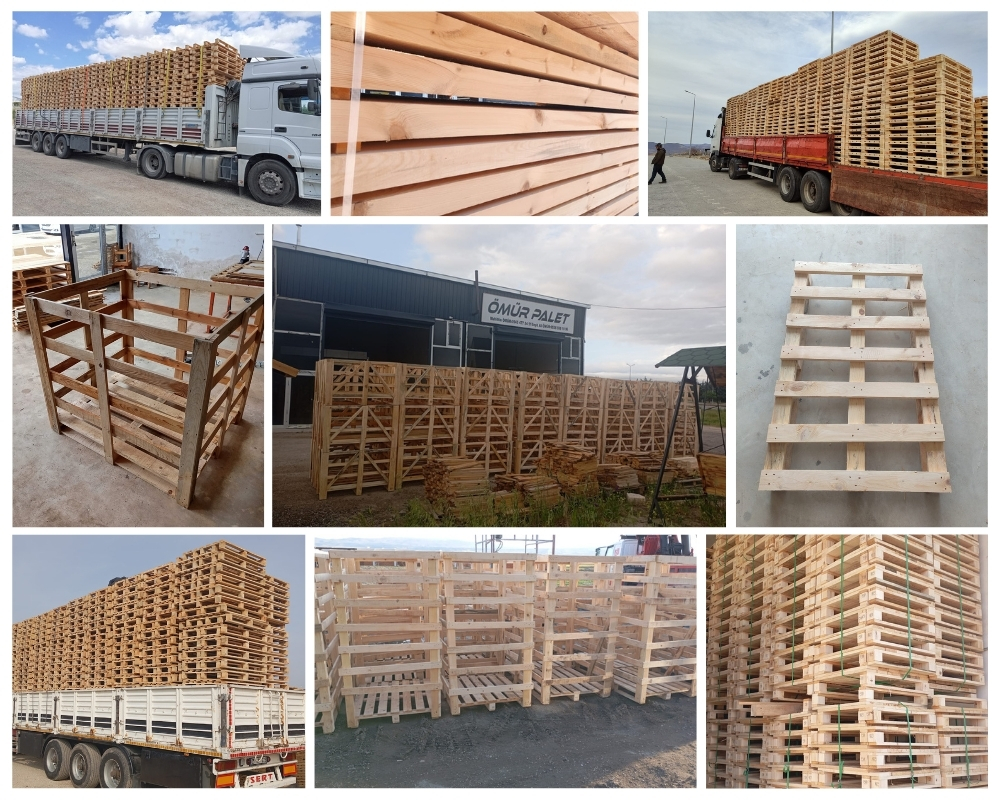 Hoek van Holland Houten Kisten, Europallets Groothandel Kopen